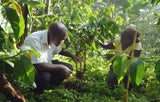 Ugandan Kapchorwa