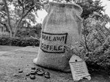 Malawi Coffee