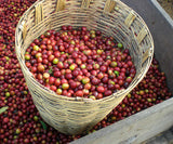 Mexican Organic - Fair Trade